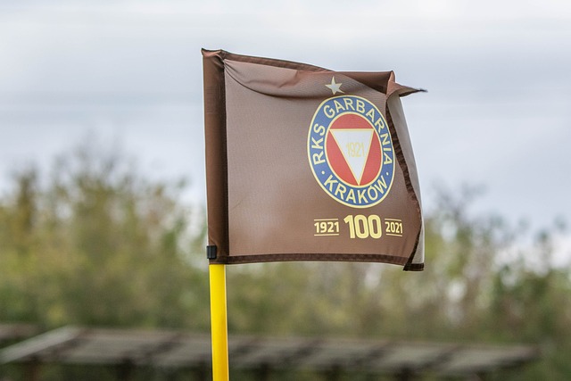 而判罚则是 而判罚则是