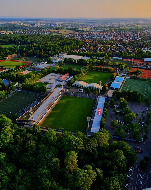 他总是告诉 他总是告诉