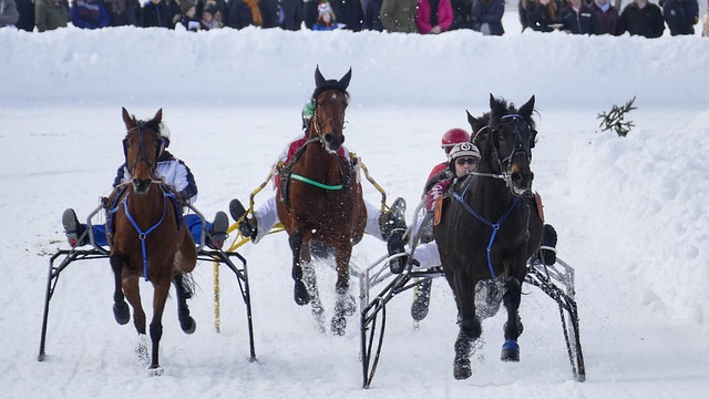 几名核心球 几名核心球