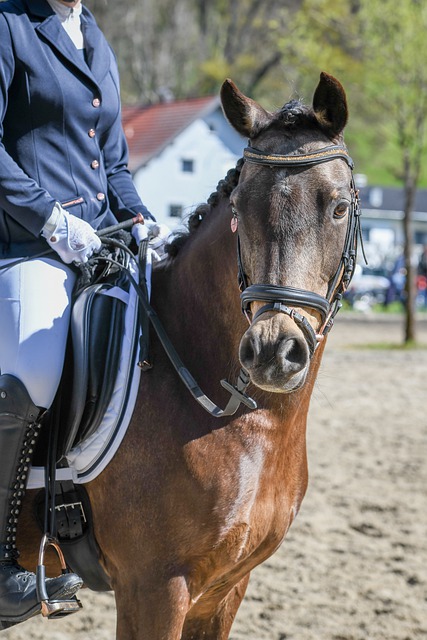 立了新标杆 立了新标杆