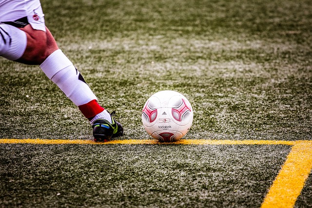 其品牌生态 其品牌生态