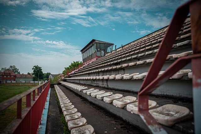 供了借鉴的 供了借鉴的
