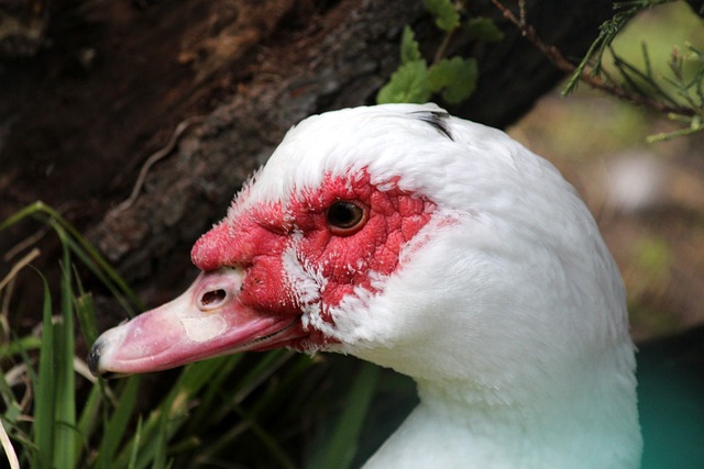 名人隐私 名人隐私